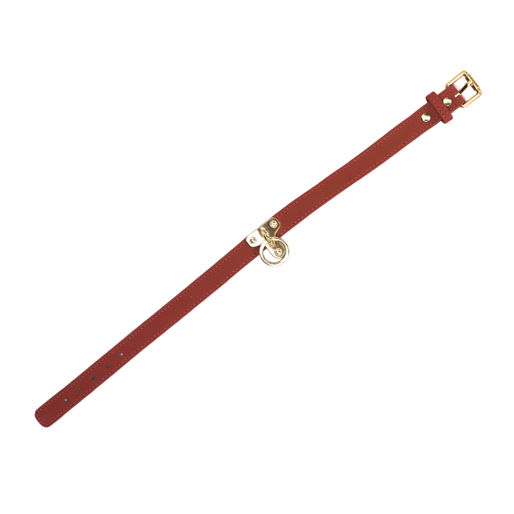 Magic Touch Fun Red Collar - Club X