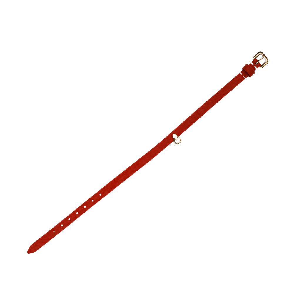 Magic Touch Fun Red Collar Narrow Small Link - Club X